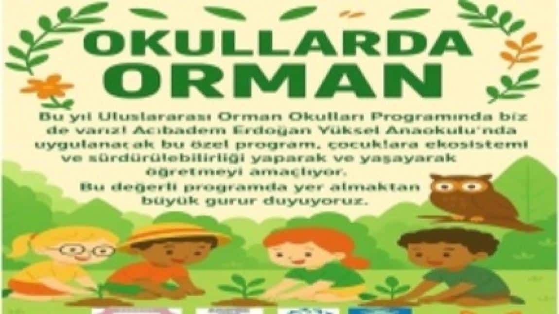 Okullarda Orman Programı
